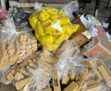 PCPR incinera 478 quilos de drogas em Ponta Grossa
