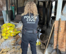 PCPR incinera 478 quilos de drogas em Ponta Grossa