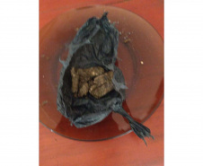 PCPR e PMPR prendem quatro pessoas em operação contra o tráfico de drogas em Rio Azul