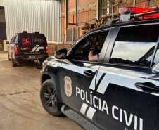 PCPR incinera 478 quilos de drogas em Ponta Grossa