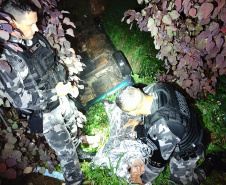 Pelotão de Choque da PMPR salva homem após acidente em córrego em Ponta Grossa