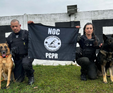 Cães da PCPR ajudaram a apreender 2,8 toneladas de drogas em 2024