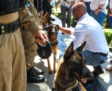 Reforço nas estradas: DER/PR entrega 36 viaturas e 5 cães ao Batalhão de Polícia Rodoviária