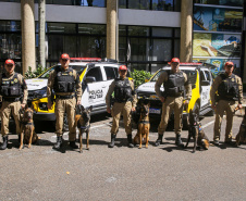 Reforço nas estradas: DER/PR entrega 36 viaturas e 5 cães ao Batalhão de Polícia Rodoviária