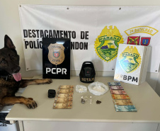 Cães da PCPR ajudaram a apreender 2,8 toneladas de drogas em 2024