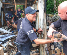 PCPR resgata cadela e filhotes presos em escombros em Guaratuba