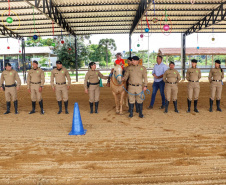 Regimento de Polícia Montada ganha picadeiro coberto para prática de equoterapia