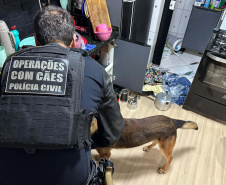 Cães da PCPR ajudaram a apreender 2,8 toneladas de drogas em 2024