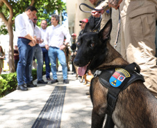 Reforço nas estradas: DER/PR entrega 36 viaturas e 5 cães ao Batalhão de Polícia Rodoviária