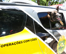 Reforço nas estradas: DER/PR entrega 36 viaturas e 5 cães ao Batalhão de Polícia Rodoviária