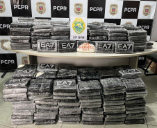 Com 444 toneladas, Paraná foi o segundo estado que mais apreendeu drogas em 2024
