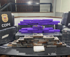 Com 444 toneladas, Paraná foi o segundo estado que mais apreendeu drogas em 2024