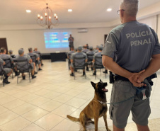 Polícia Penal do Paraná promove alinhamento estratégico para Verão Maior Paraná