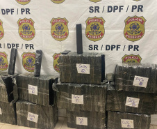 2,8 toneladas apreendidas: grupo tinha até empilhadeira para estocar drogas