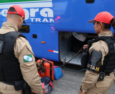  Forças de segurança fazem operação integrada nas rodovias do Litoral 