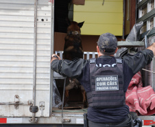  Forças de segurança fazem operação integrada nas rodovias do Litoral 