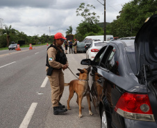  Forças de segurança fazem operação integrada nas rodovias do Litoral 