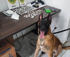 PMPR apreende cocaína, arma e munições durante ação no litoral do Paraná