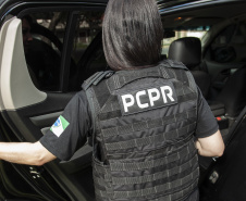 PCPR resgata mais de 60 cães vítimas de maus-tratos em canil de Almirante Tamandaré