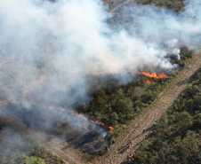  Com incêndios, bombeiros registraram aumento de 10% no total de ocorrências em 2024