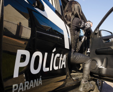 PCPR prende homem por maus tratos e resgata animais em Curitiba 
