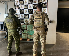 Polícia Militar apreende 1,7 tonelada de droga em Guaíra