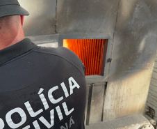 PCPR incinera mais de 15 quilos de drogas apreendidas durante o Verão Maior Paraná