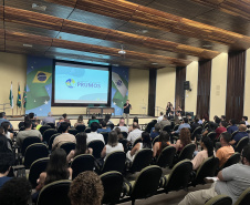 Programa de Atendimento Psicossocial recebe reforço inédito de 47 servidores 