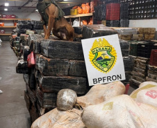 BPFron apreende 6 toneladas de maconha em Santa Helena