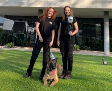 Polícia Científica do Paraná