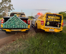 PMPR E PF apreendem 104kg de pasta base de cocaína em Cruzeiro do Oeste