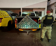 PMPR E PF apreendem 104kg de pasta base de cocaína em Cruzeiro do Oeste