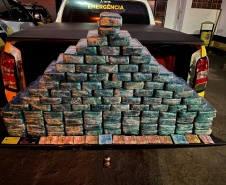 PMPR E PF apreendem 104kg de pasta base de cocaína em Cruzeiro do Oeste