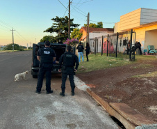Operação da PCPR mira organização criminosa envolvida em homicídios e tráfico