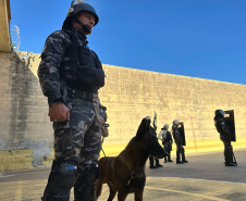 Polícia Penal realiza operação simultânea em sete unidades do Complexo Penitenciário de Piraquara