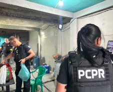 Operação da PCPR mira grupo especializado em furtos de veículos e outros crimes
