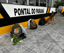 Forças de segurança realizam operação integrada e prendem três pessoas por tráfico de drogas no litoral