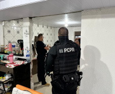 Operação da PCPR mira grupo especializado em furtos de veículos e outros crimes