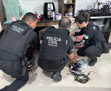 Operação da PCPR mira grupo especializado em furtos de veículos e outros crimes