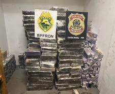BPFRON e PF apreendem carreta carregada com 2,5 toneladas de substância análoga a maconha