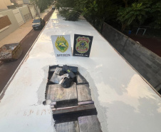 BPFRON e PF apreendem carreta carregada com 2,5 toneladas de substância análoga a maconha