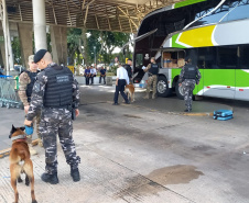 PMPR apreende 19 quilos de maconha na rodoviária de Curitiba