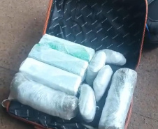 PMPR apreende 19 quilos de maconha na rodoviária de Curitiba