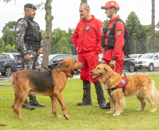 Governo do Paraná vai comprar 93 cães para reforçar atividades policiais e de salvamento