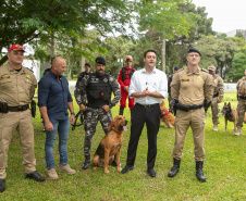 Governo do Paraná vai comprar 93 cães para reforçar atividades policiais e de salvamento