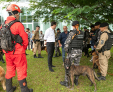 Governo do Paraná vai comprar 93 cães para reforçar atividades policiais e de salvamento
