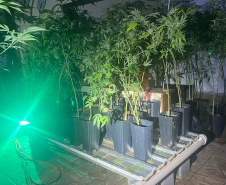 Polícia Militar desmantela laboratório de drogas em Balsa Nova
