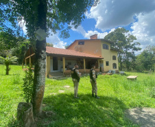Polícia Militar desmantela laboratório de drogas em Balsa Nova