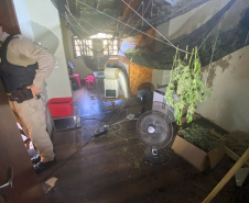 Polícia Militar desmantela laboratório de drogas em Balsa Nova