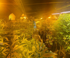 Polícia Militar desmantela laboratório de drogas em Balsa Nova